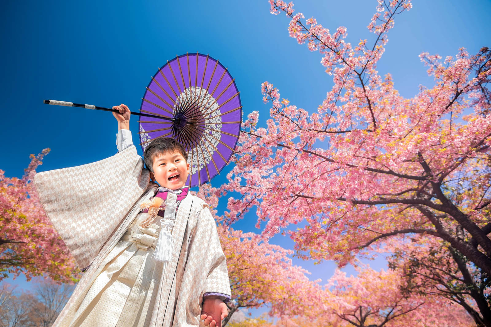 七五三,宇都宮,フォトスタジオ